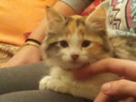 2013-11-24 21.15.31.jpg