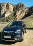 mokka1.jpg