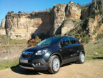 mokka2.jpg