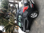 IMG_2975.jpeg
