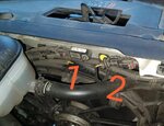 IMG_20220804_230738.jpg