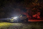 otoño,luces,mokka y accion!!.jpg