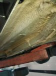 IMG_20160215_090538.jpg