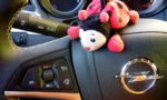 IMG_20160219_170959.jpg