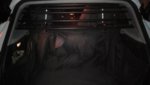 IMG_20160225_205328.jpg