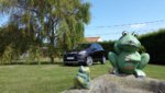 20150702_121703.jpg
