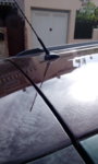 IMG-20161017-WA0030.jpeg
