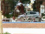 IMG_20160728_120248_BURST1.jpg