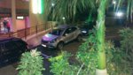 IMG_20170204_204023.jpg