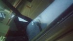 20170205_131817.jpg