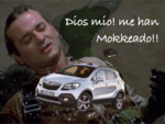 IMG_1346.PNG