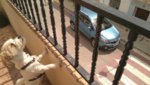 IMG_20170422_131011.jpg