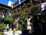 Patio cordobez.jpg