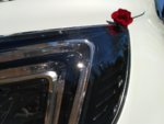 IMG_20170507_112713.jpg