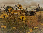 20170512_105304.jpg