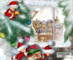 IMG_20171216_123301.jpg