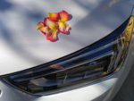 IMG_20170506_094709.jpg