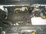 2017_08_22MotorMokka.jpg