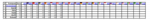 Carreras F1..png