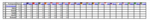 Carreras F1..png