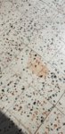 thumbnail_20200217_122042.jpg